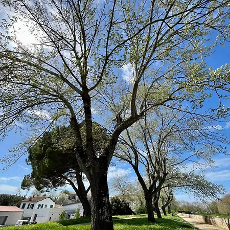 L'attrape Reve Oleron Le Château-dʼOléron